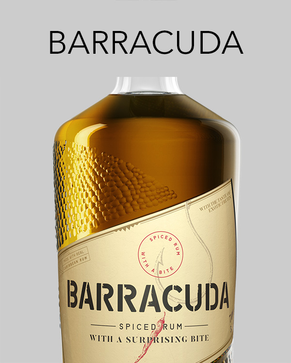 Zu allen Produkten von Barracuda